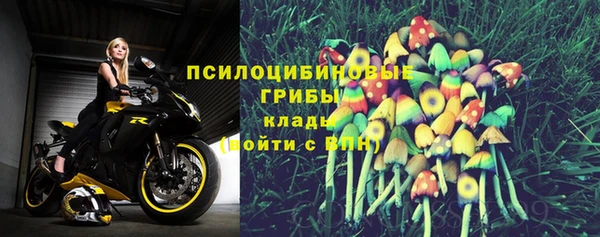 не бодяженный Карпинск