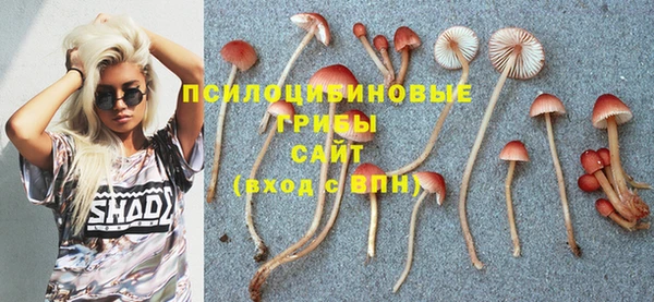 круглые Касимов