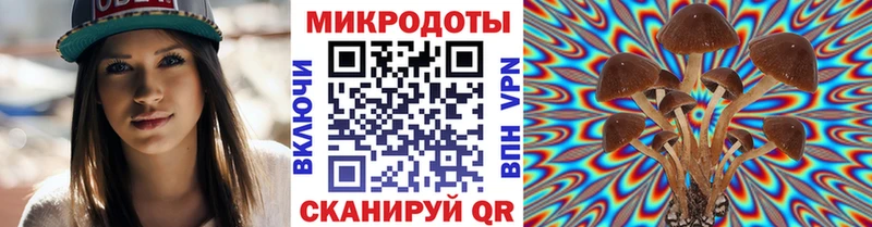 Купить где Лениногорск Псилоцибиновые грибы мицелий